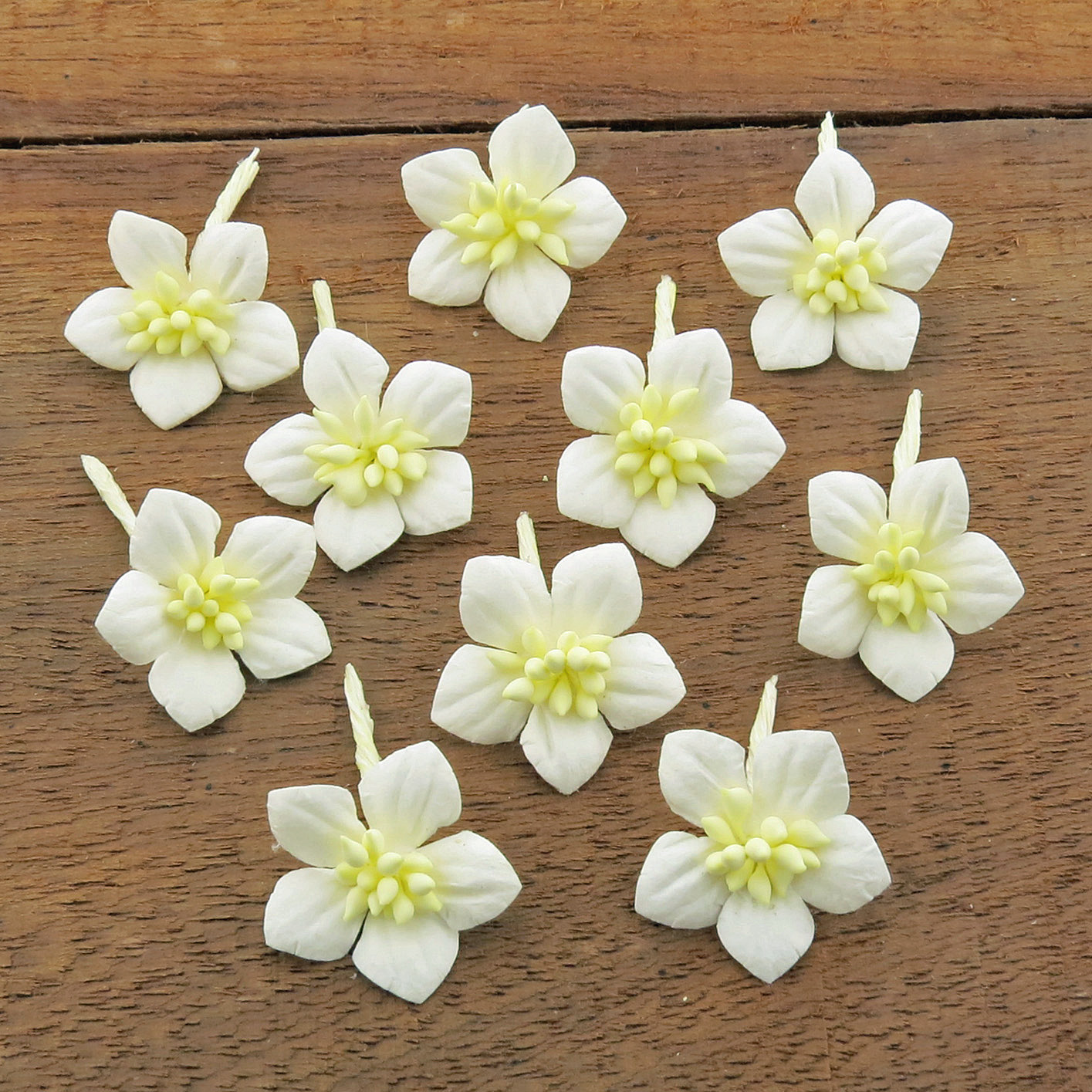 WHITE COTTON STEM MULBERRY PAPER FLOWERS - SET C